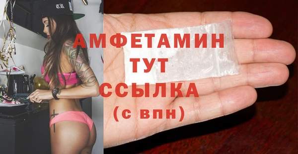прущие грибы Переславль-Залесский
