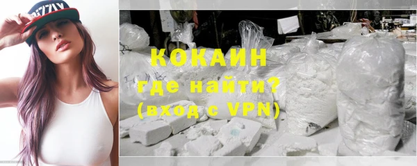 прущие грибы Переславль-Залесский