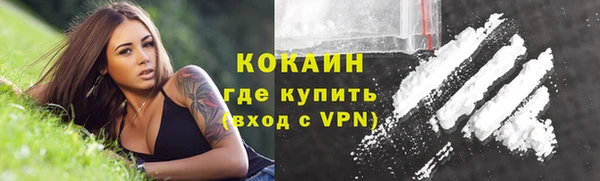 стафф Пересвет
