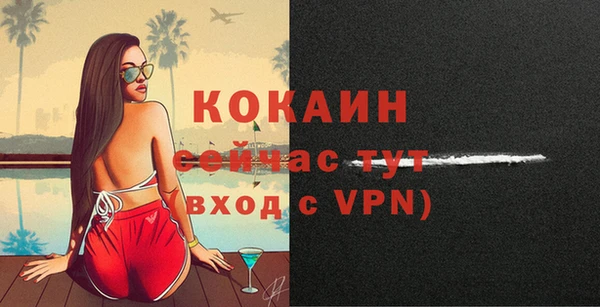 прущие грибы Переславль-Залесский