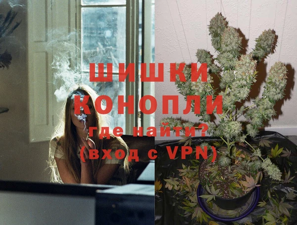 spice Пестово