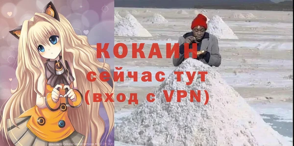 прущие грибы Переславль-Залесский
