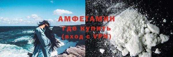 прущие грибы Переславль-Залесский