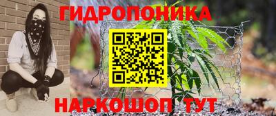 стафф Абакан