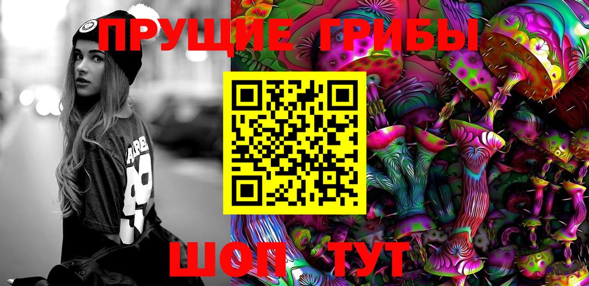 купить наркоту  Псилоцибиновые грибы Psilocybe  Вход с VPN  Балабаново 